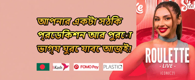 মেগা উইকএন্ড বোনাস promotion banner